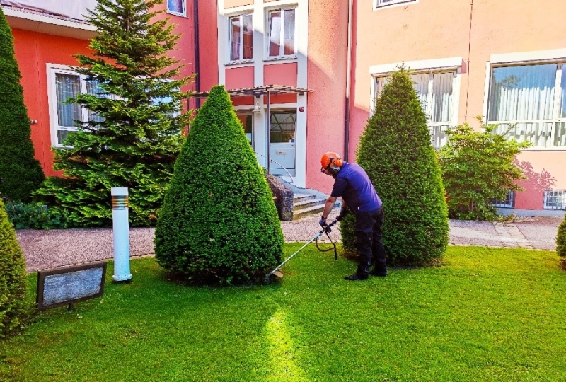 Rasenfläche vor einer Immobilie als Symbolbild für Garten- und Grundstückspflege